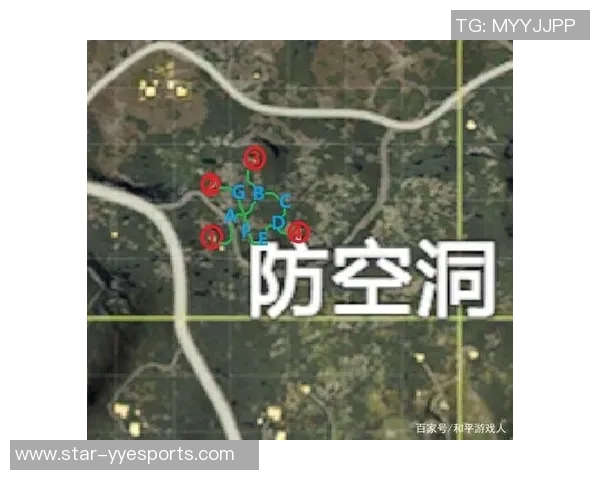 和平精英战术BLG的节奏体系解析与实战应用探讨